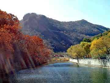 新澳天天开奖资料大全旅游团，世嘉汽车座套